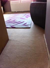 Local Carpet and Upholstery Cleaning 350621 Image 0
